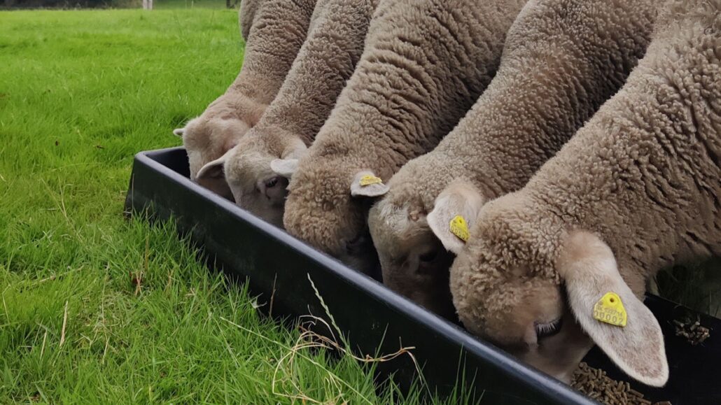 Ansvarlighed cover photo