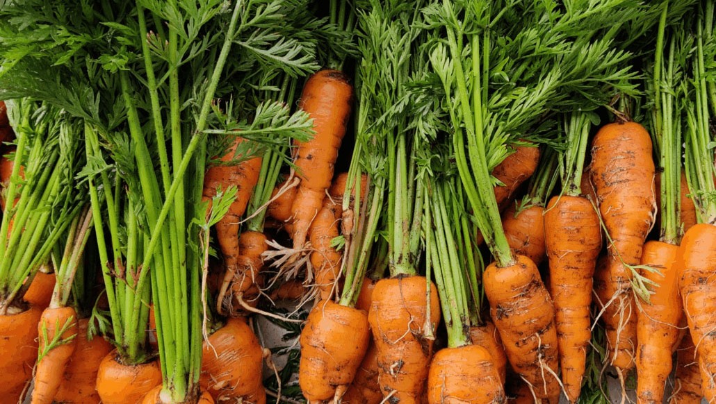 Ansvarlighed cover photo 3