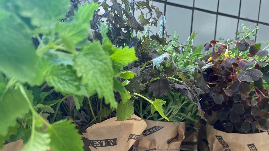 ecdd0a55-79fe-481e-aea7-7a460dad5926